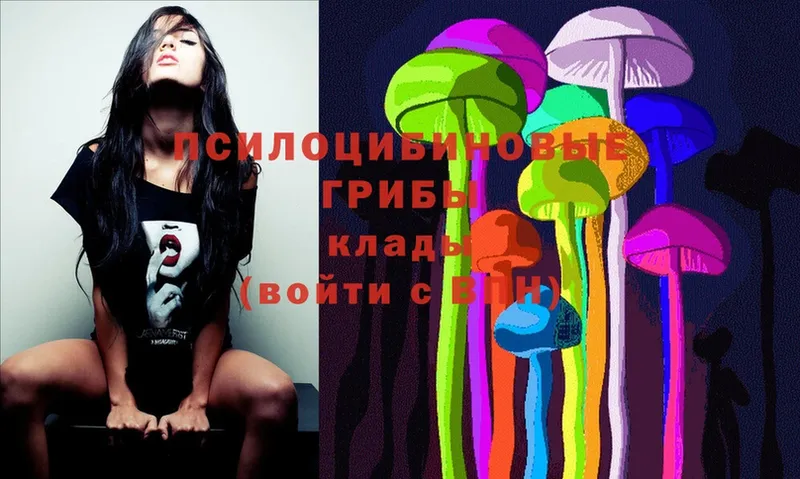 закладка  Кропоткин  blacksprut онион  Галлюциногенные грибы MAGIC MUSHROOMS 